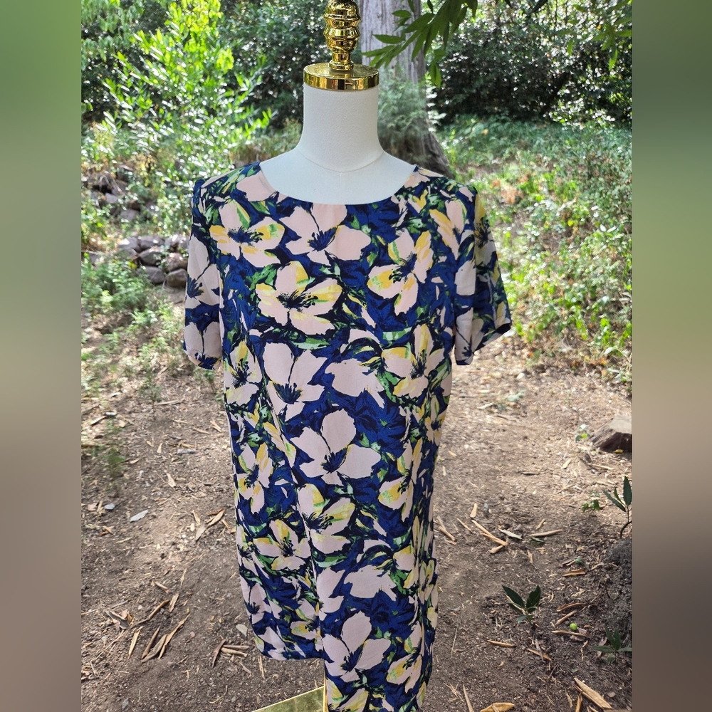 J Crew Floral Blue‎ and Pink Floral Women's Dress